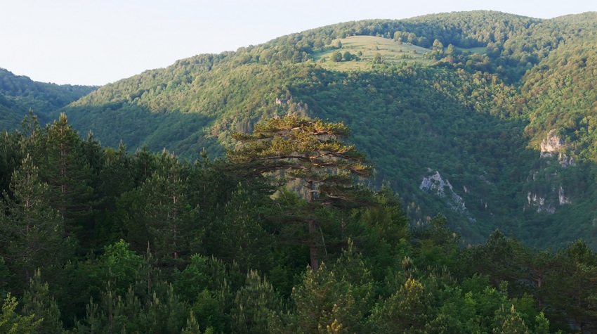 U TOKU SNIMANJE DOKUMENTARNOG FILMA O SELU TRNOVO KOD ŠIPOVA